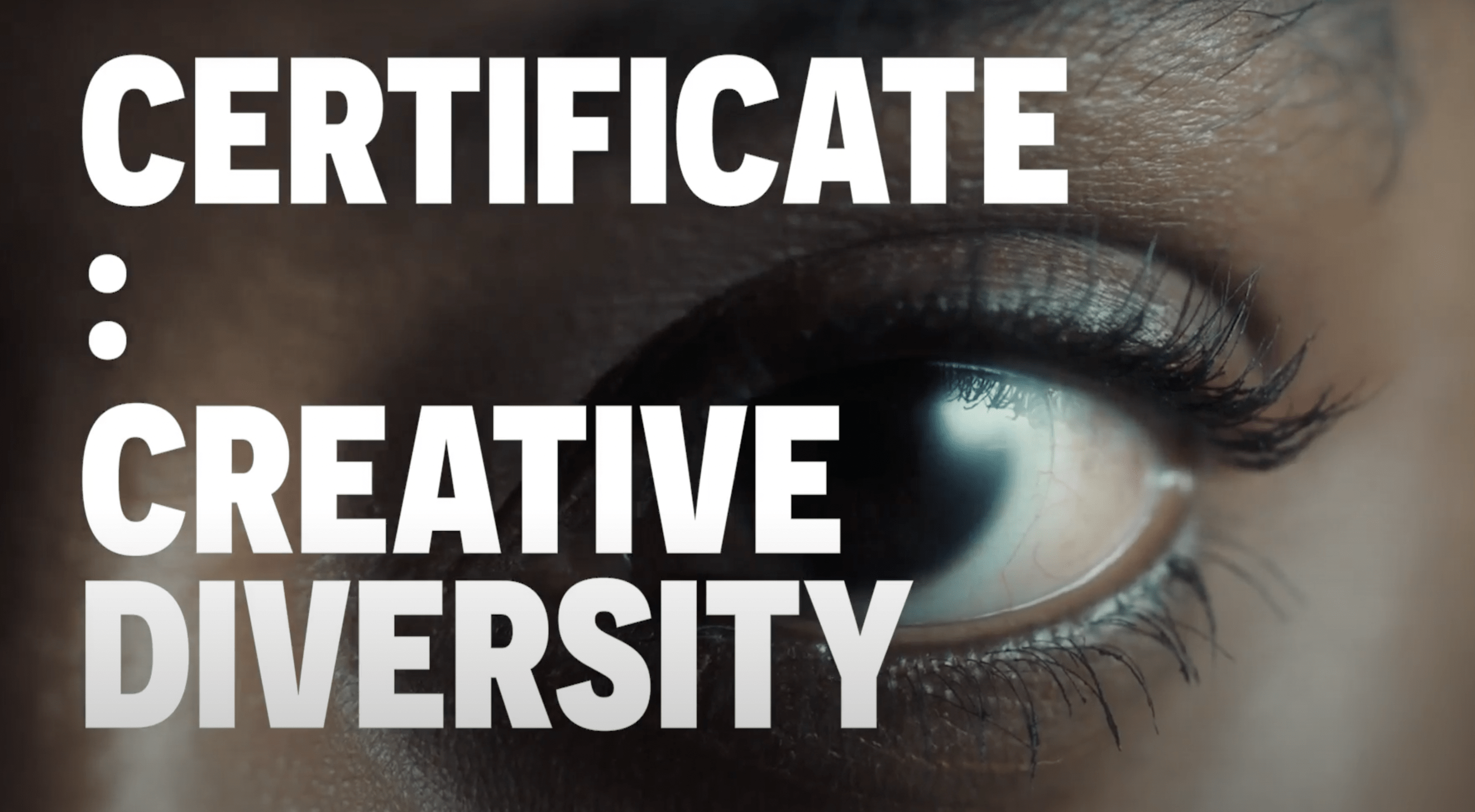 Professional Certificate in Creative Diversity