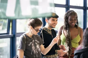 CFA Electives at NCAD – Autumn 2024